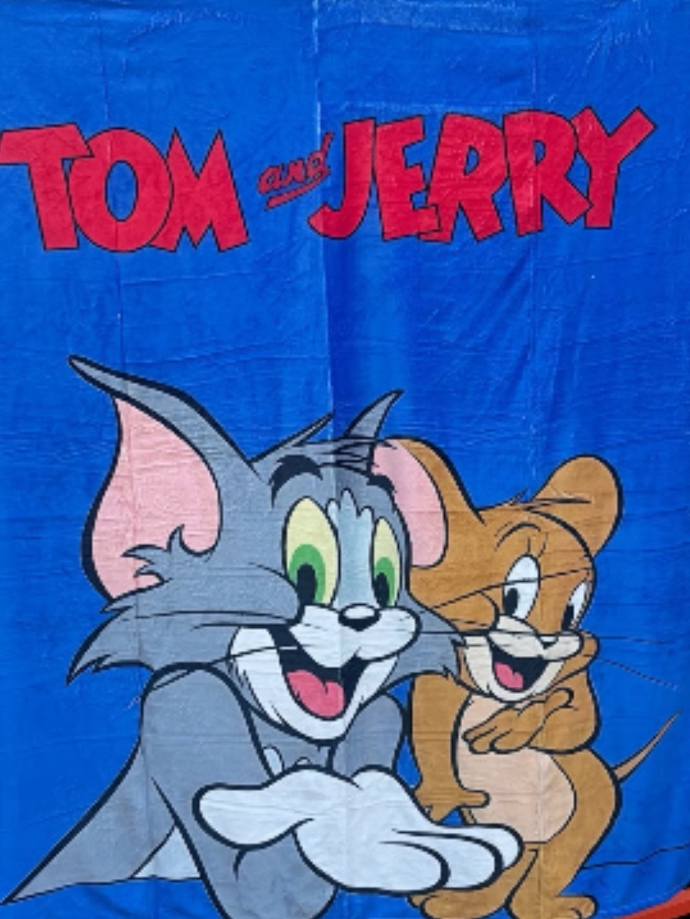 Tom & Jerry Throw Blanket